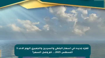 قفزة جديدة في أسعار البلطي والسردين والجمبري اليوم الأحد 3 أغسطس 2025… كم وصل السعر؟